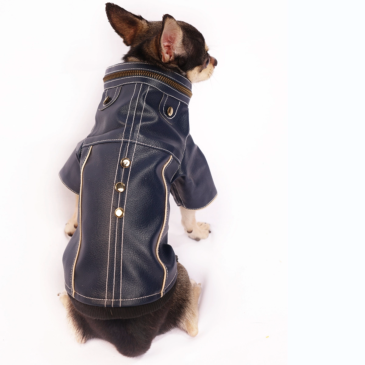 Blue Leather Jacket(Dog)