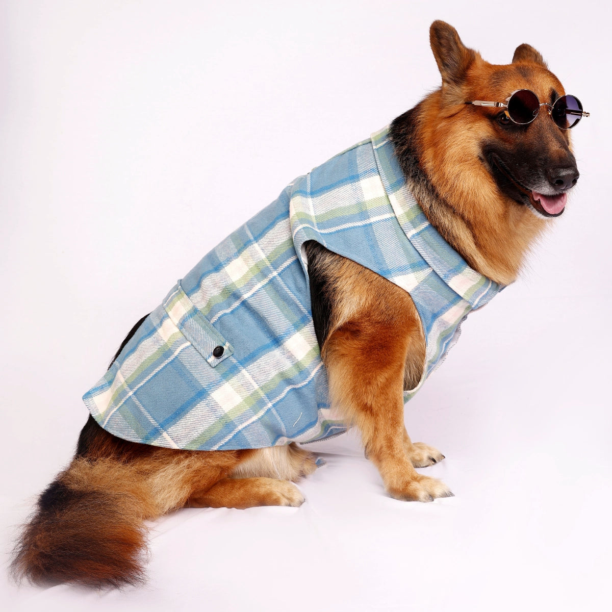Blue Tartan(Dog)