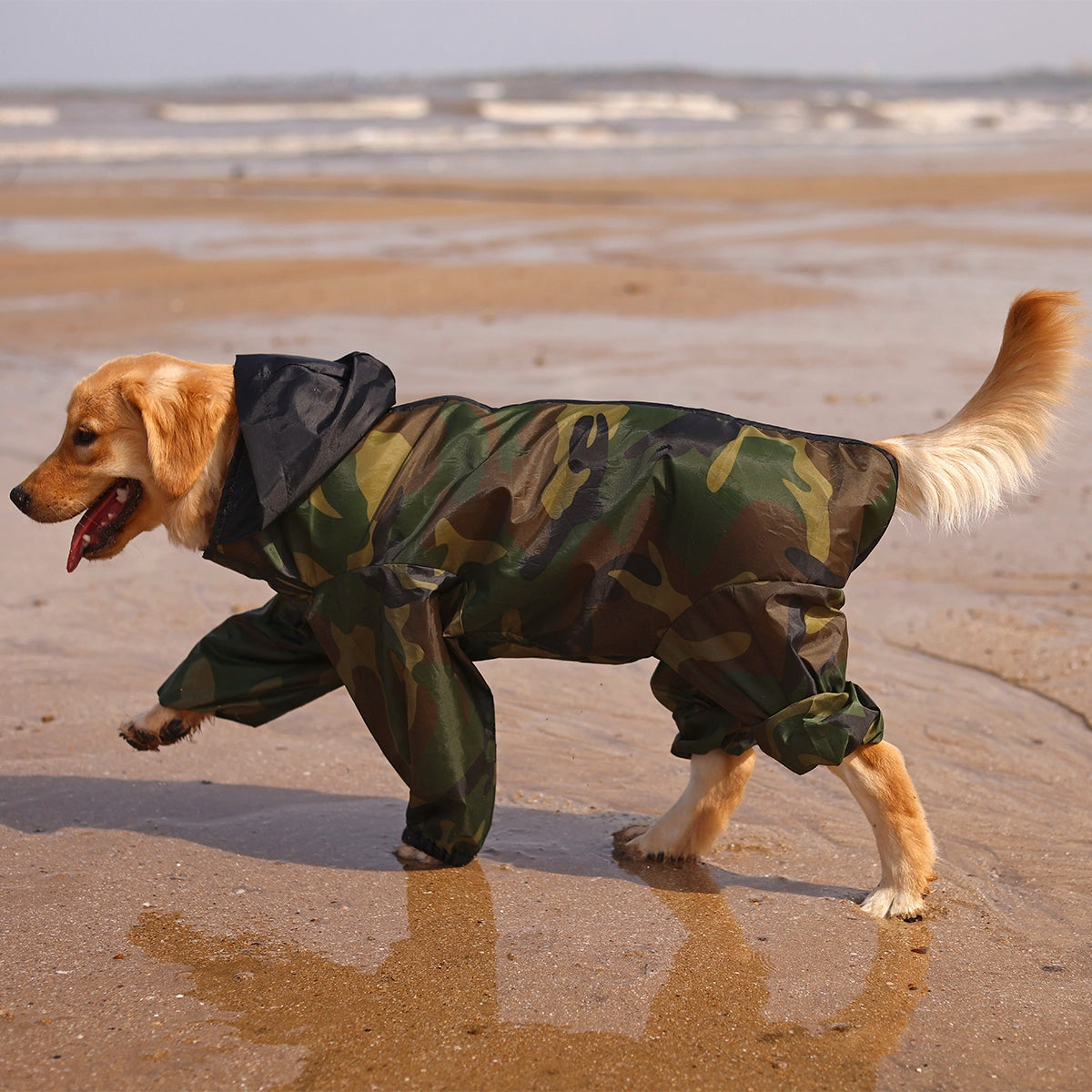 Cameoflauger Rainromper(Dog)