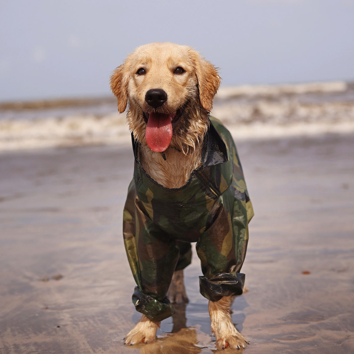 Cameoflauger Rainromper(Dog)