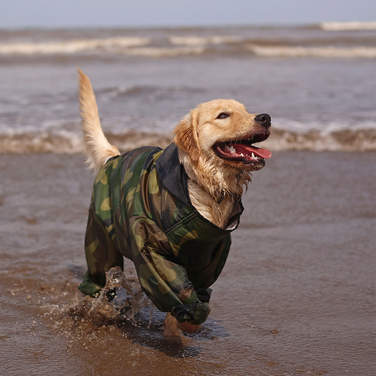 Cameoflauger Rainromper(Dog)