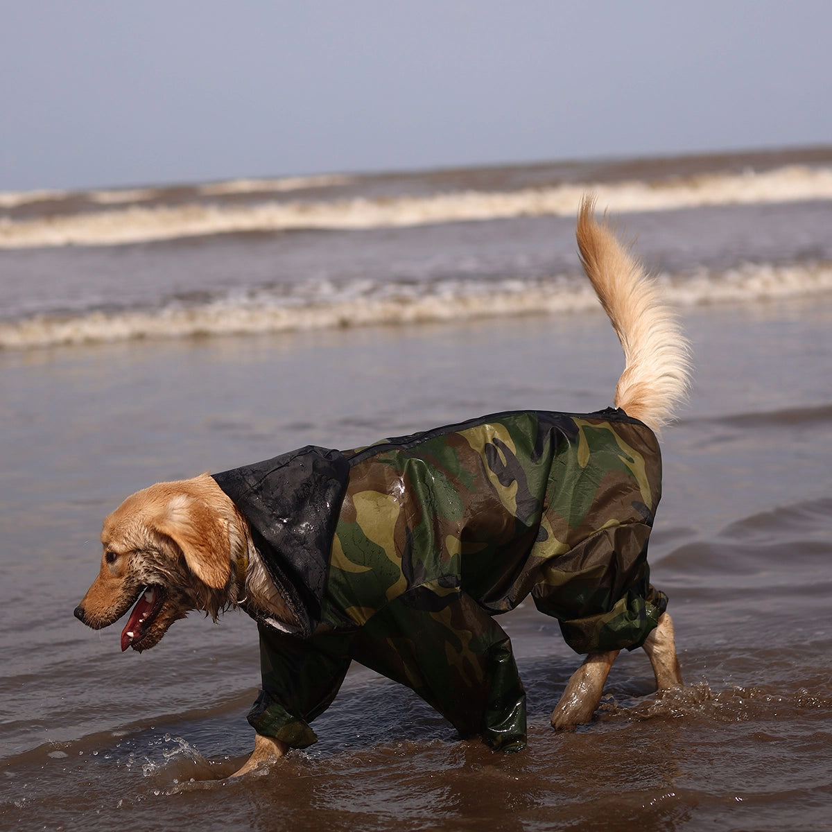Cameoflauger Rainromper(Dog)