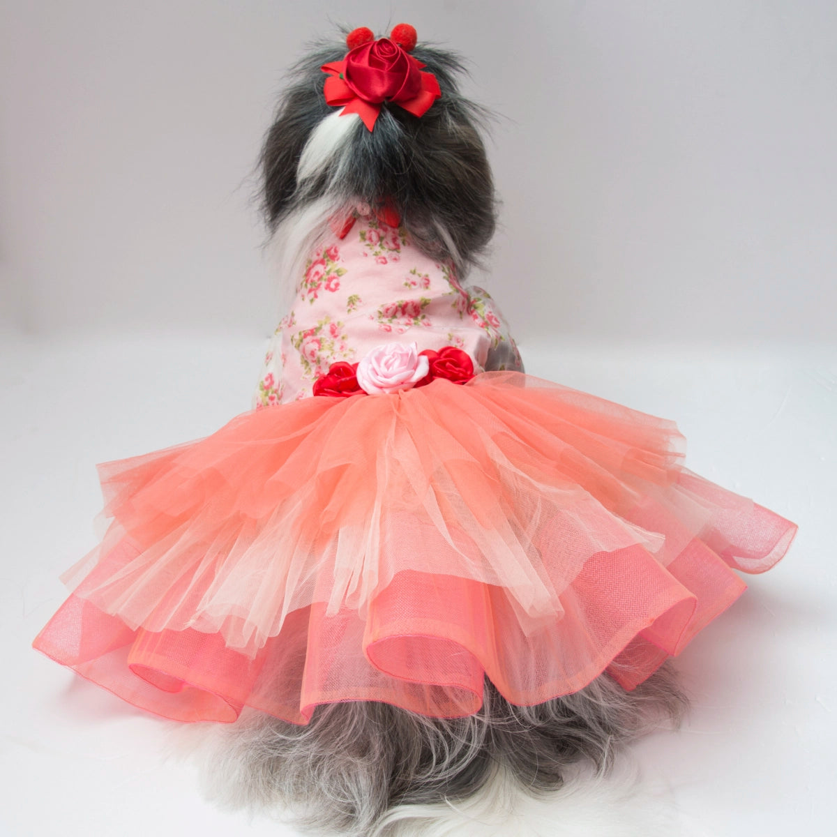 Cathy Print Tutu (Dog)
