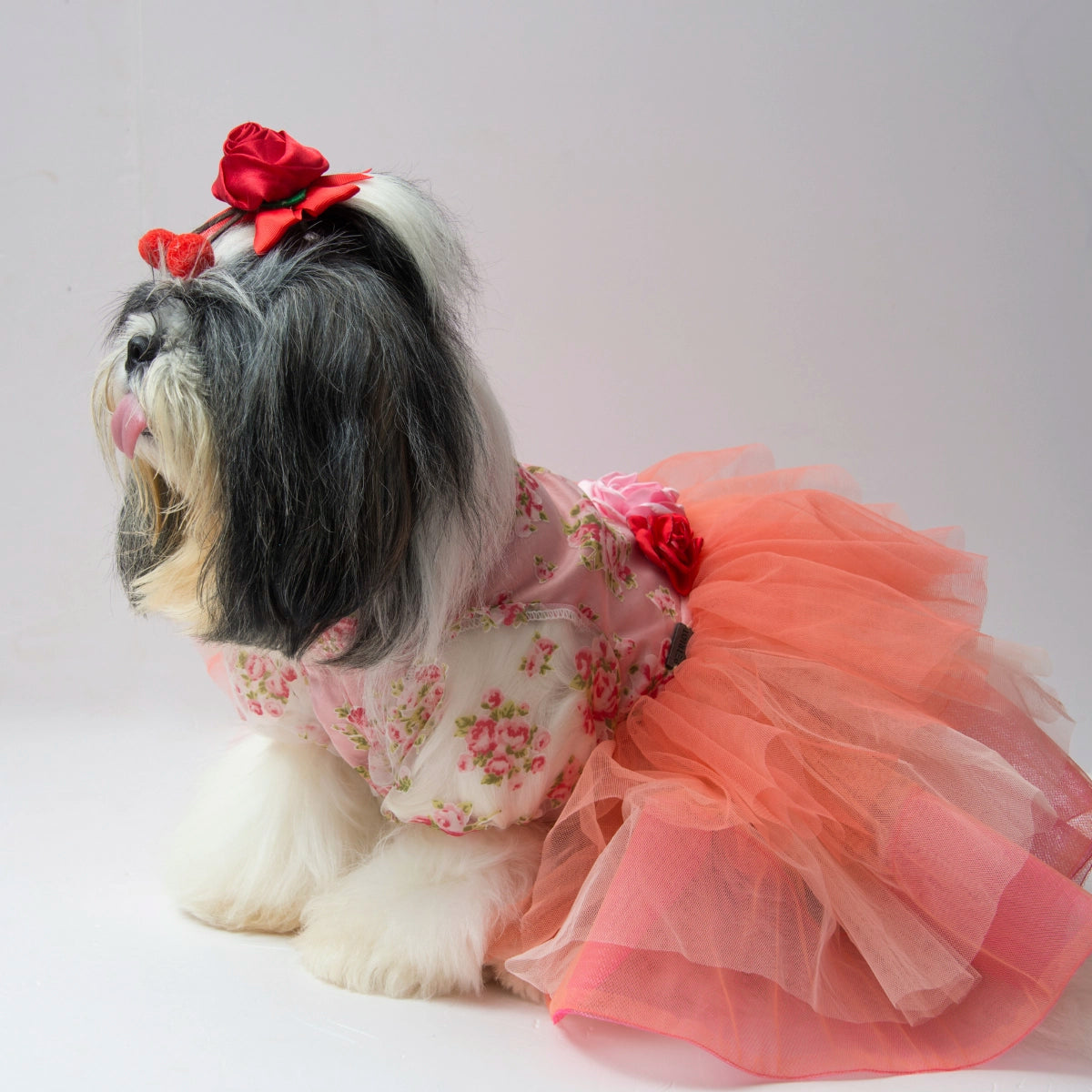 Cathy Print Tutu (Dog)