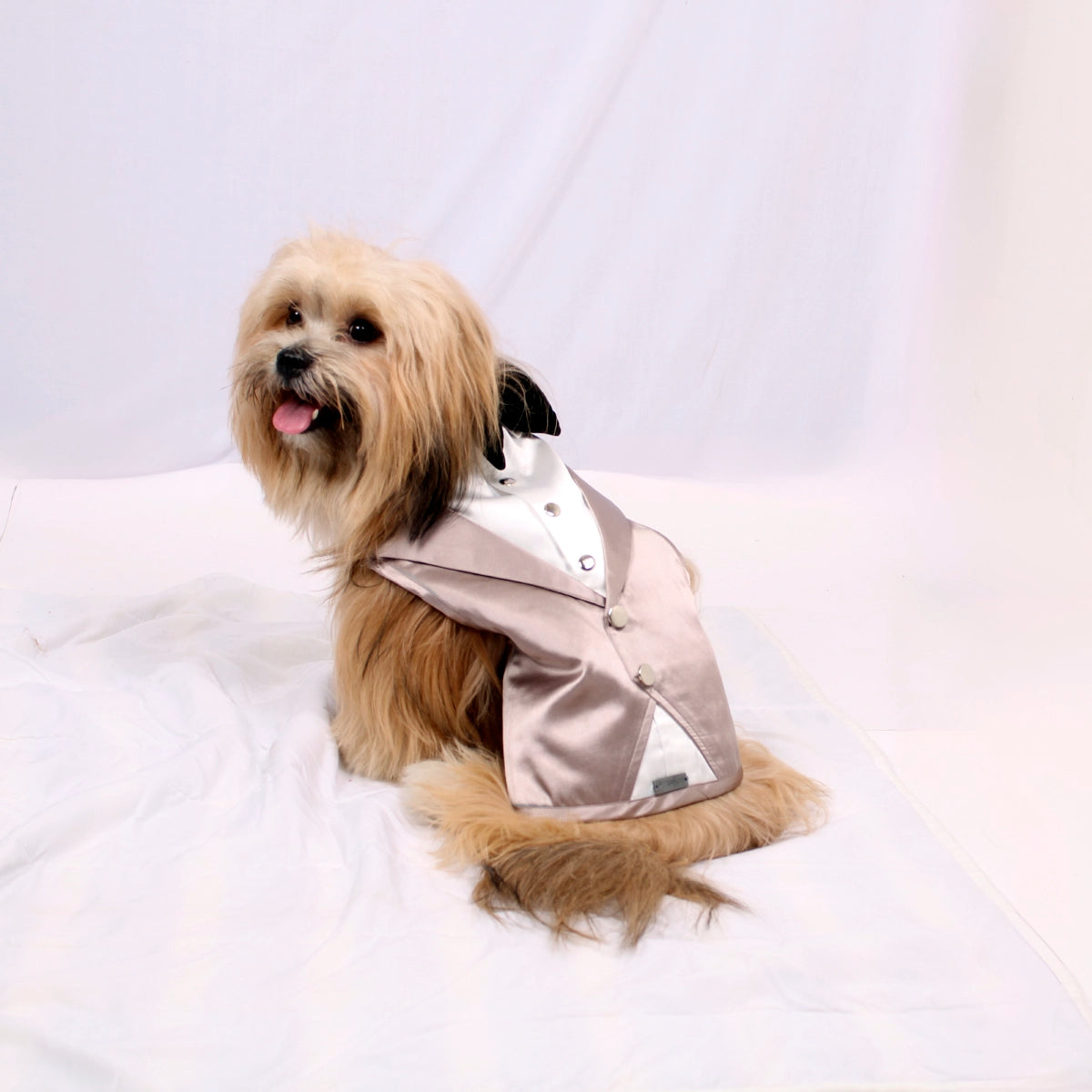 Dinner Waistcoat(Dog)