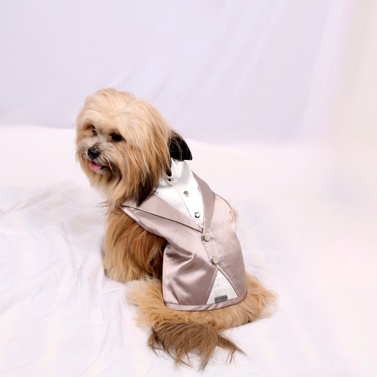 Dinner Waistcoat(Dog)