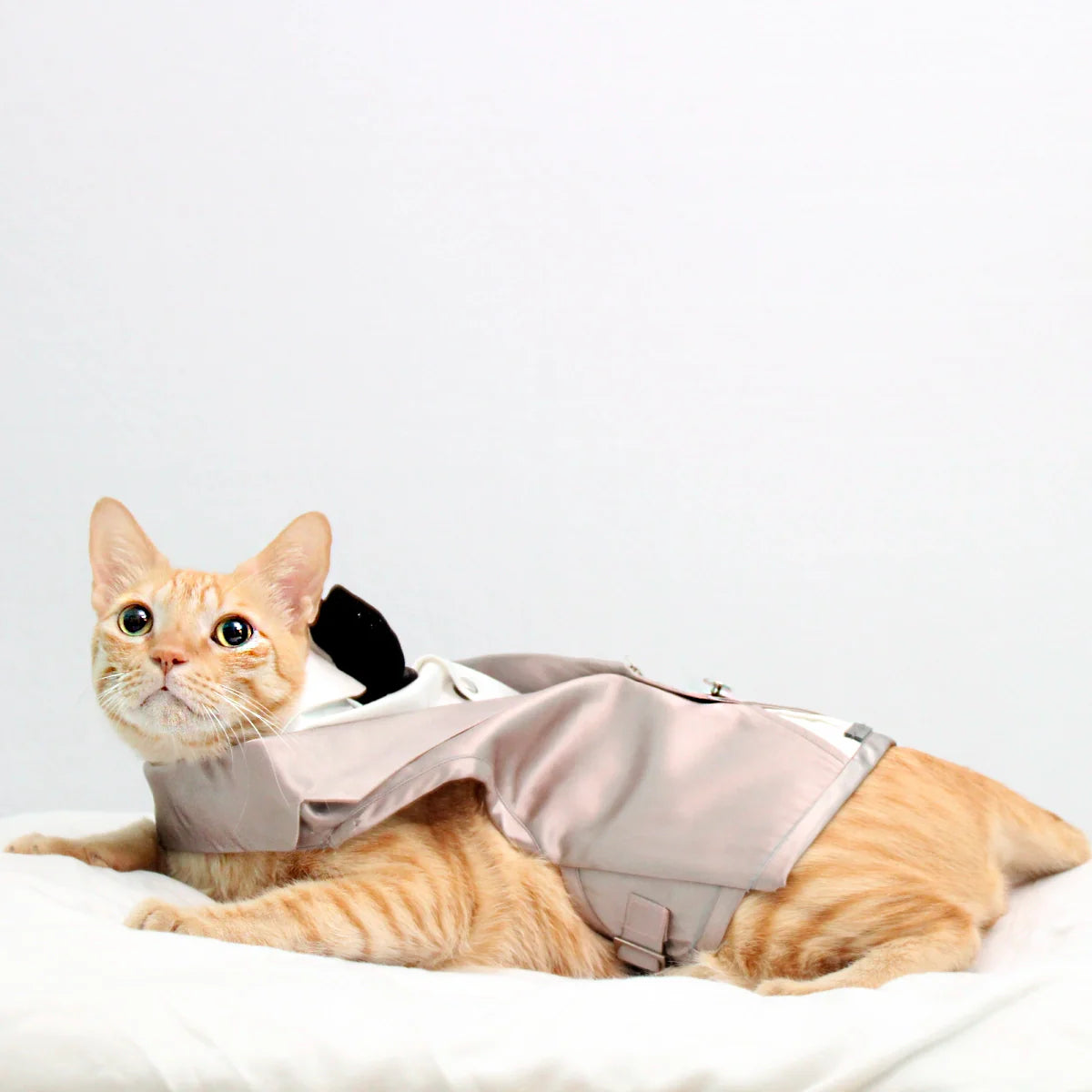 Dinner Waistcoat(Cat)