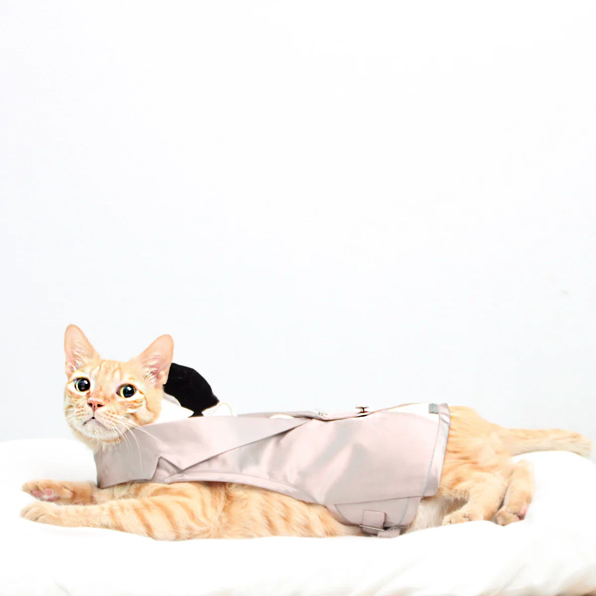 Dinner Waistcoat(Cat)