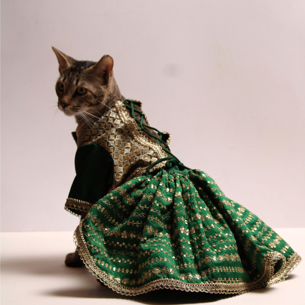 Emerald & Gold(Cat)