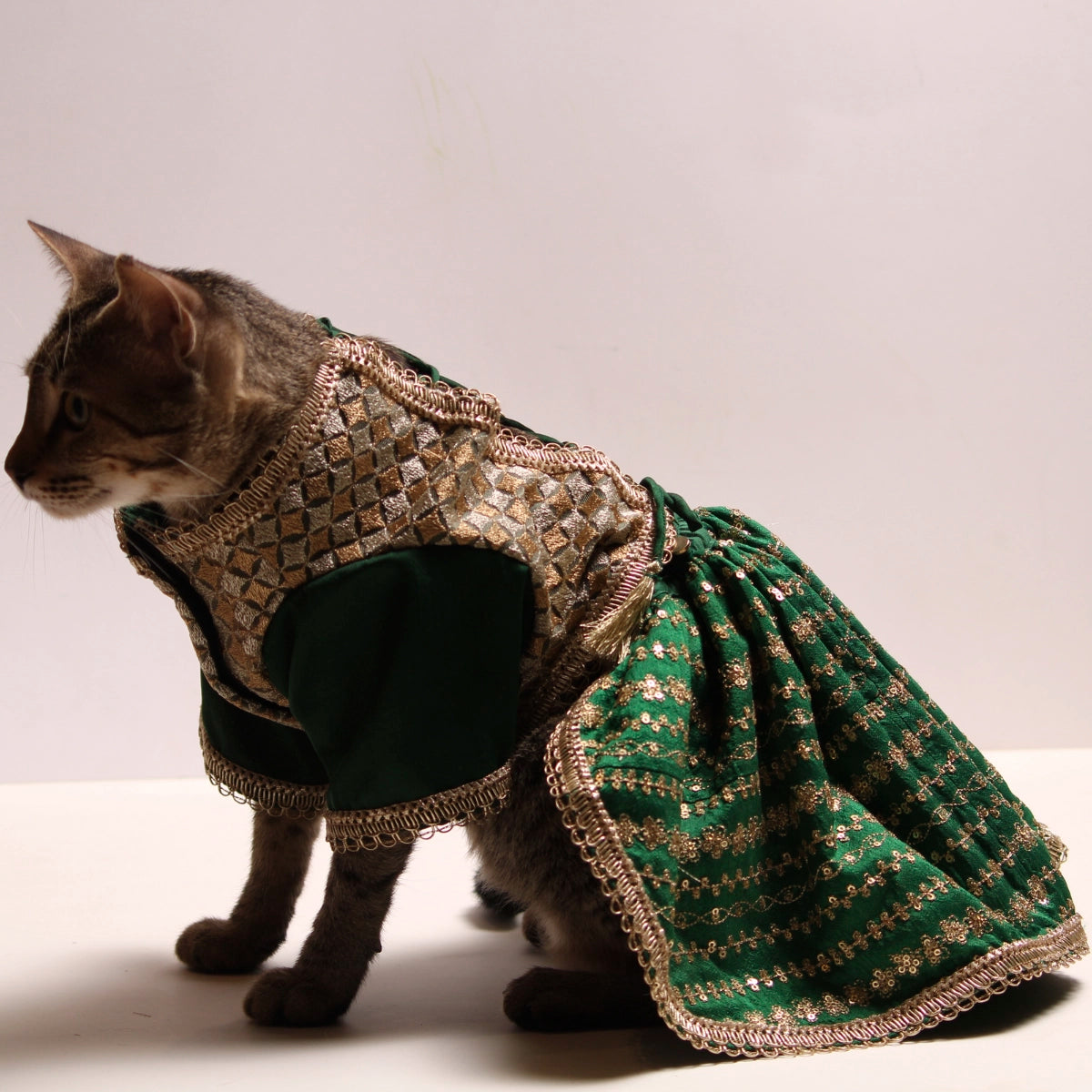 Emerald & Gold(Cat)