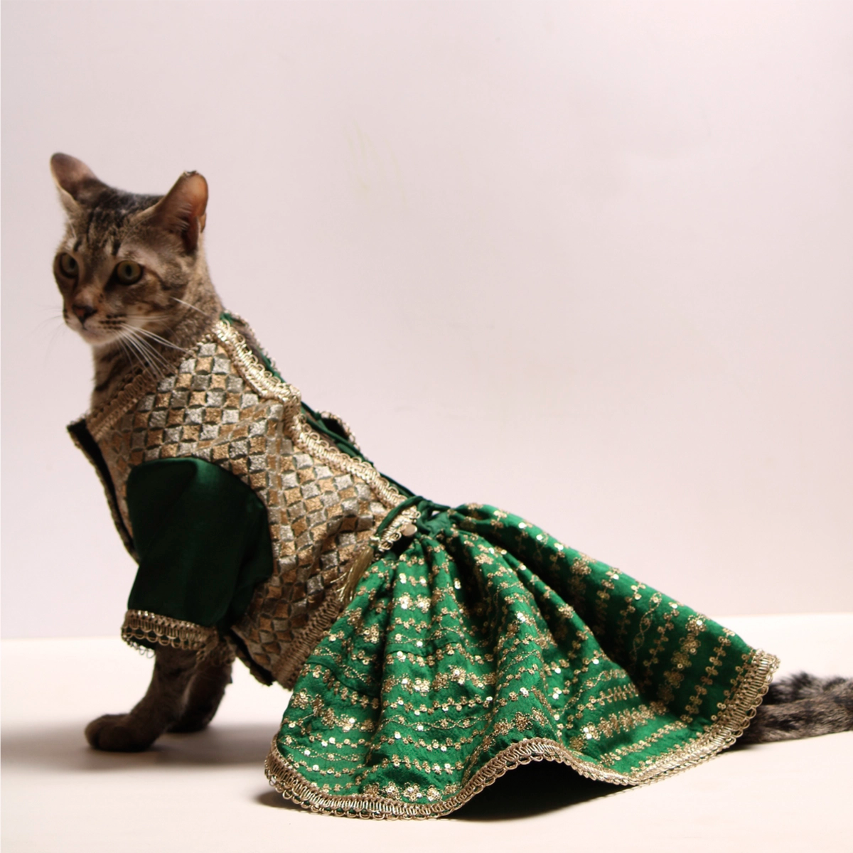 Emerald & Gold(Cat)