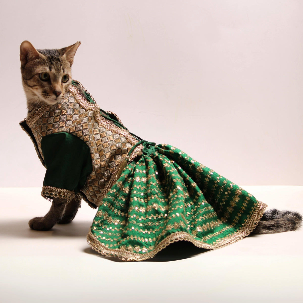Emerald & Gold(Cat)