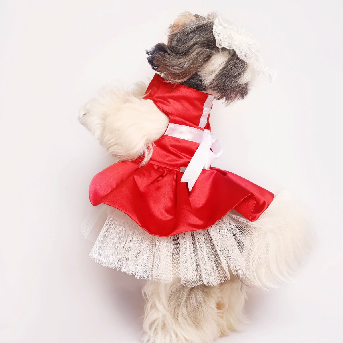 Gift Wrap Dress(Dog)