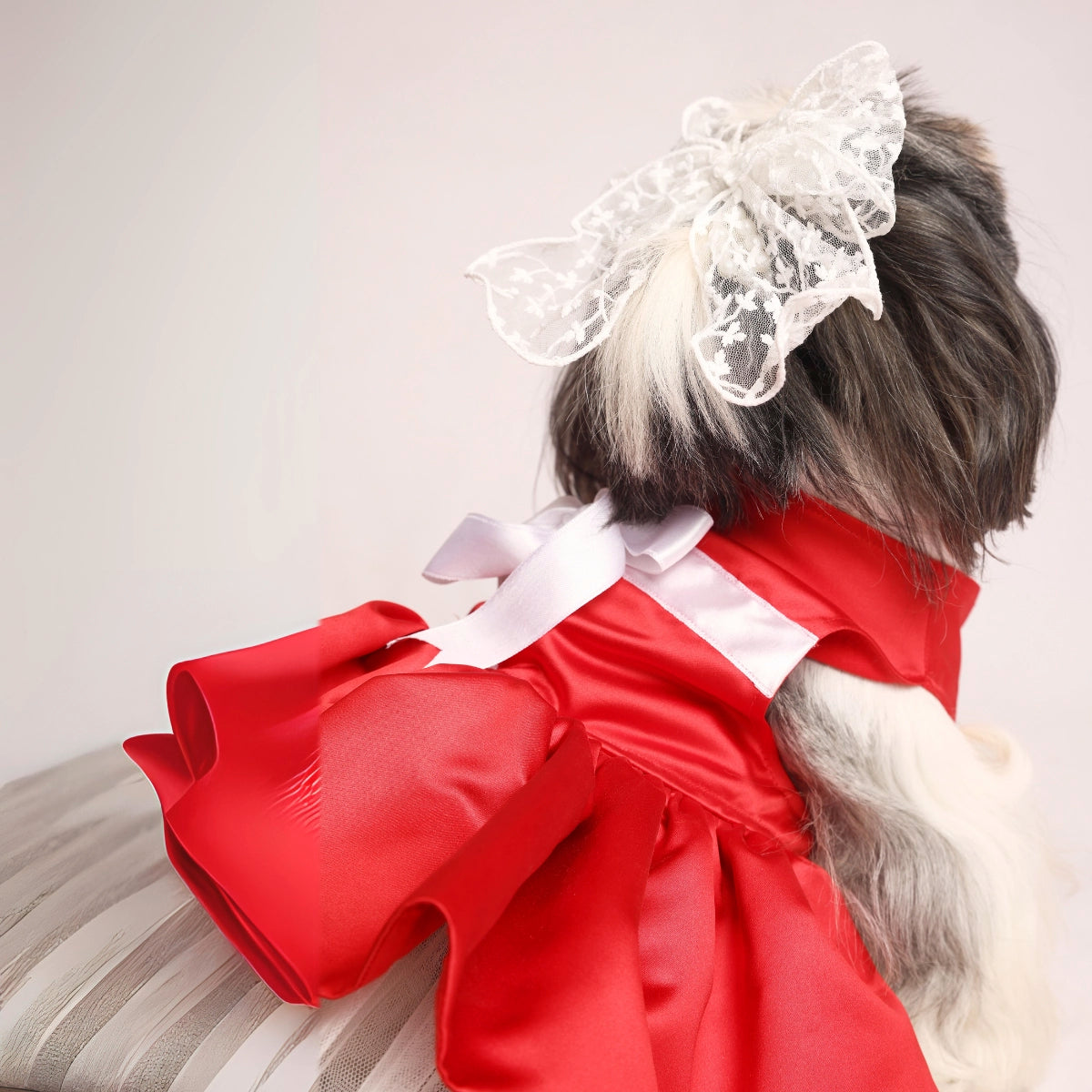 Gift Wrap Dress(Dog)