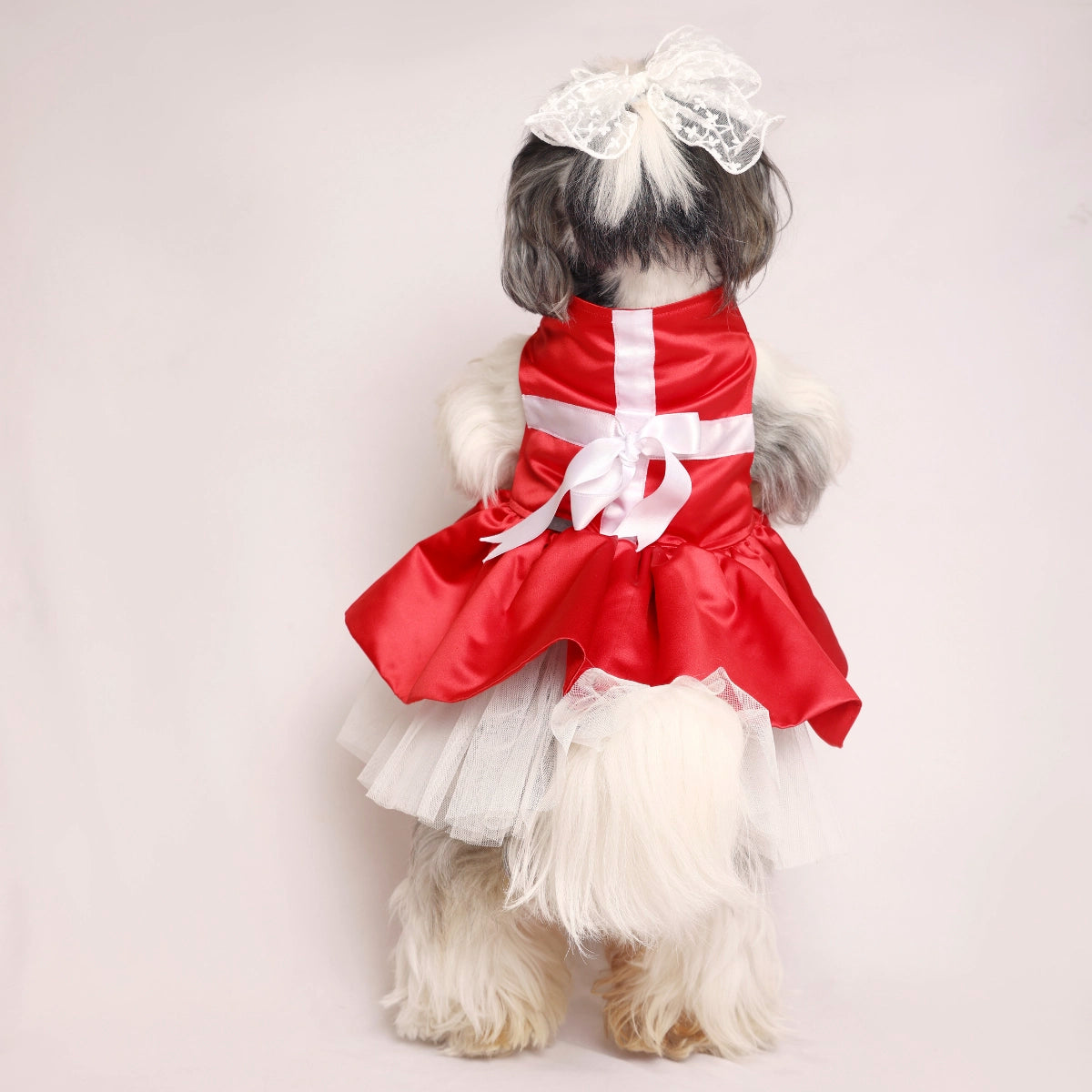 Gift Wrap Dress(Dog)