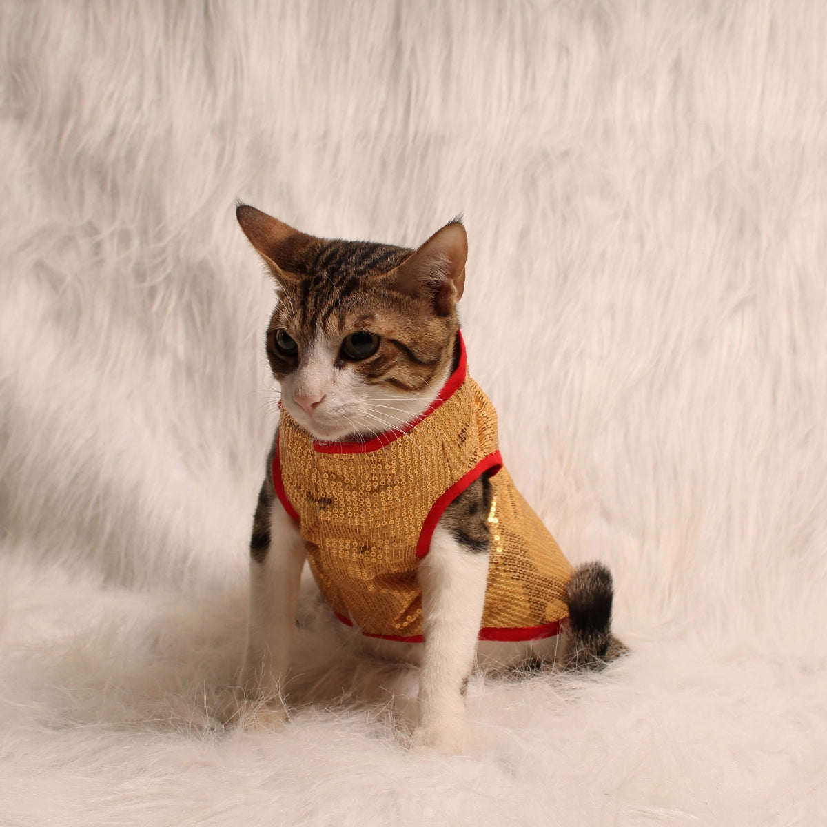 Glitter & Shine(Cat)