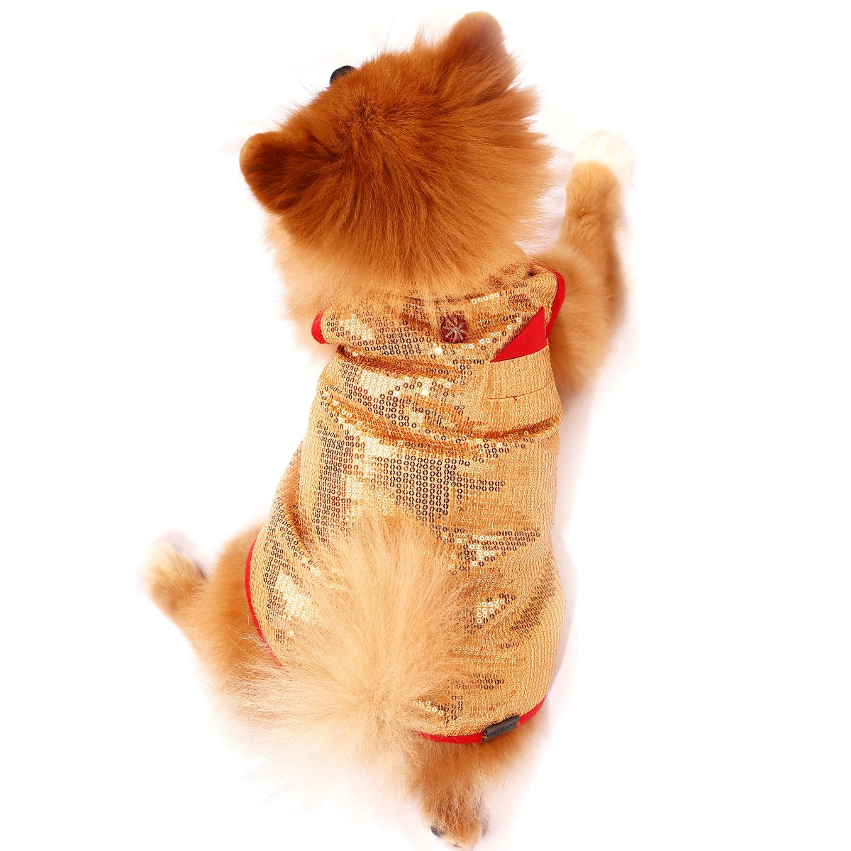 Glitter & Shine(Dog)