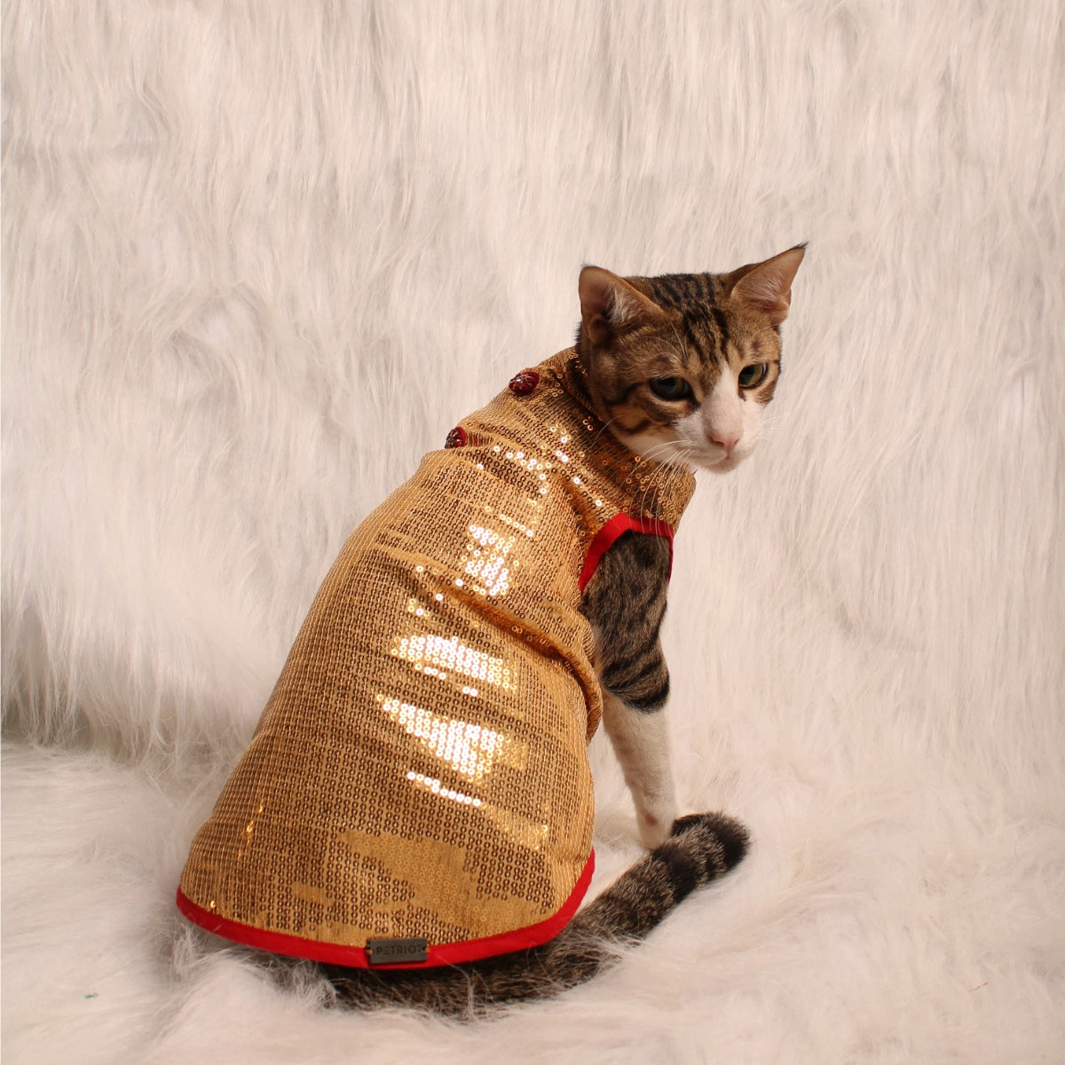 Glitter & Shine(Cat)
