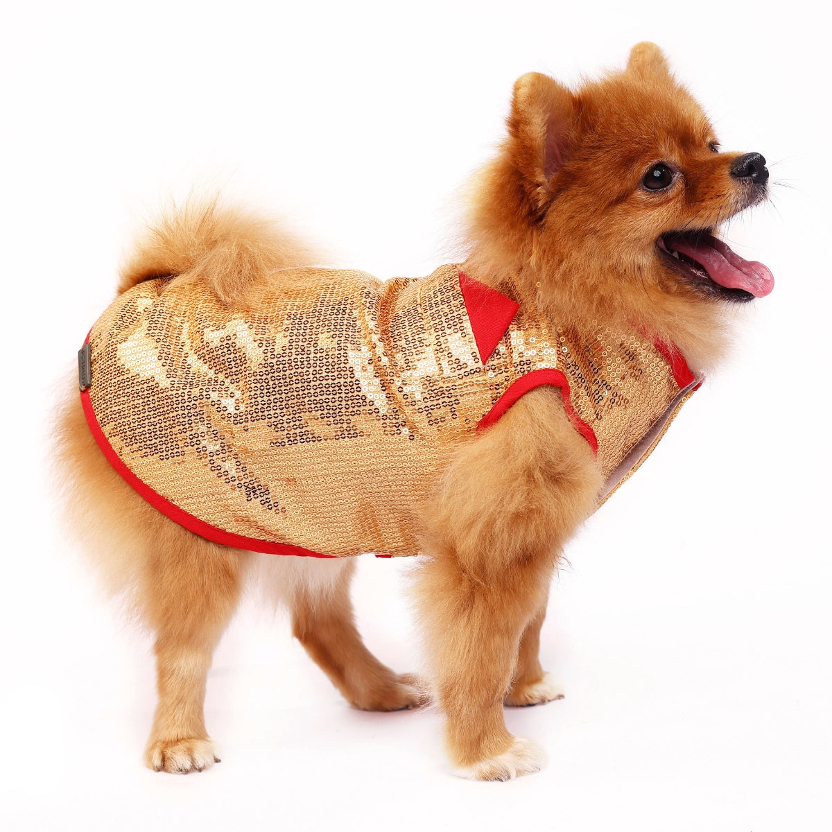 Glitter & Shine(Dog)