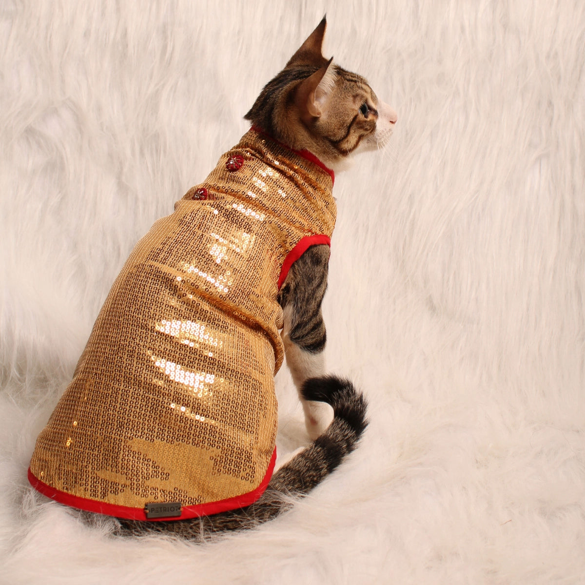 Glitter & Shine(Cat)