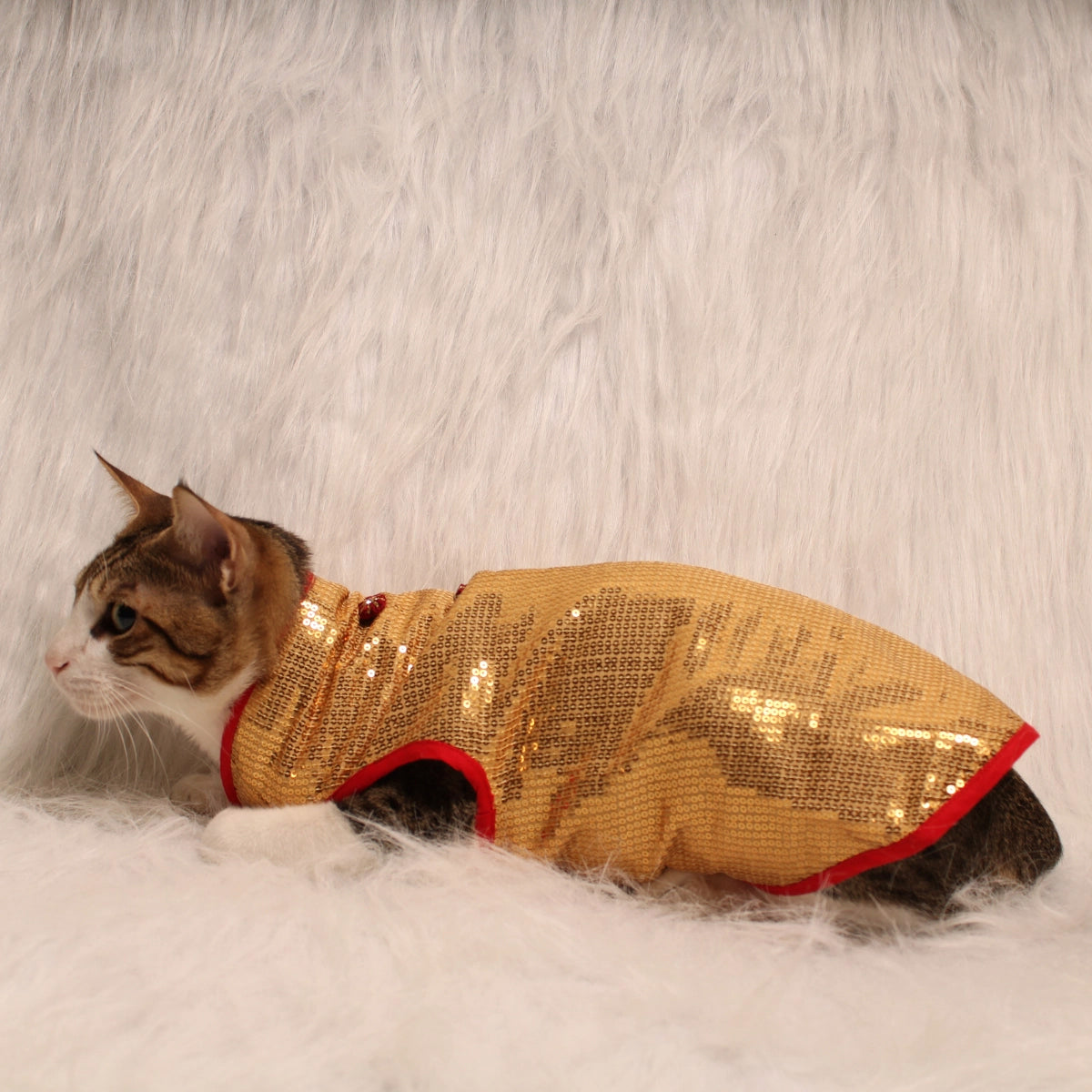 Glitter & Shine(Cat)