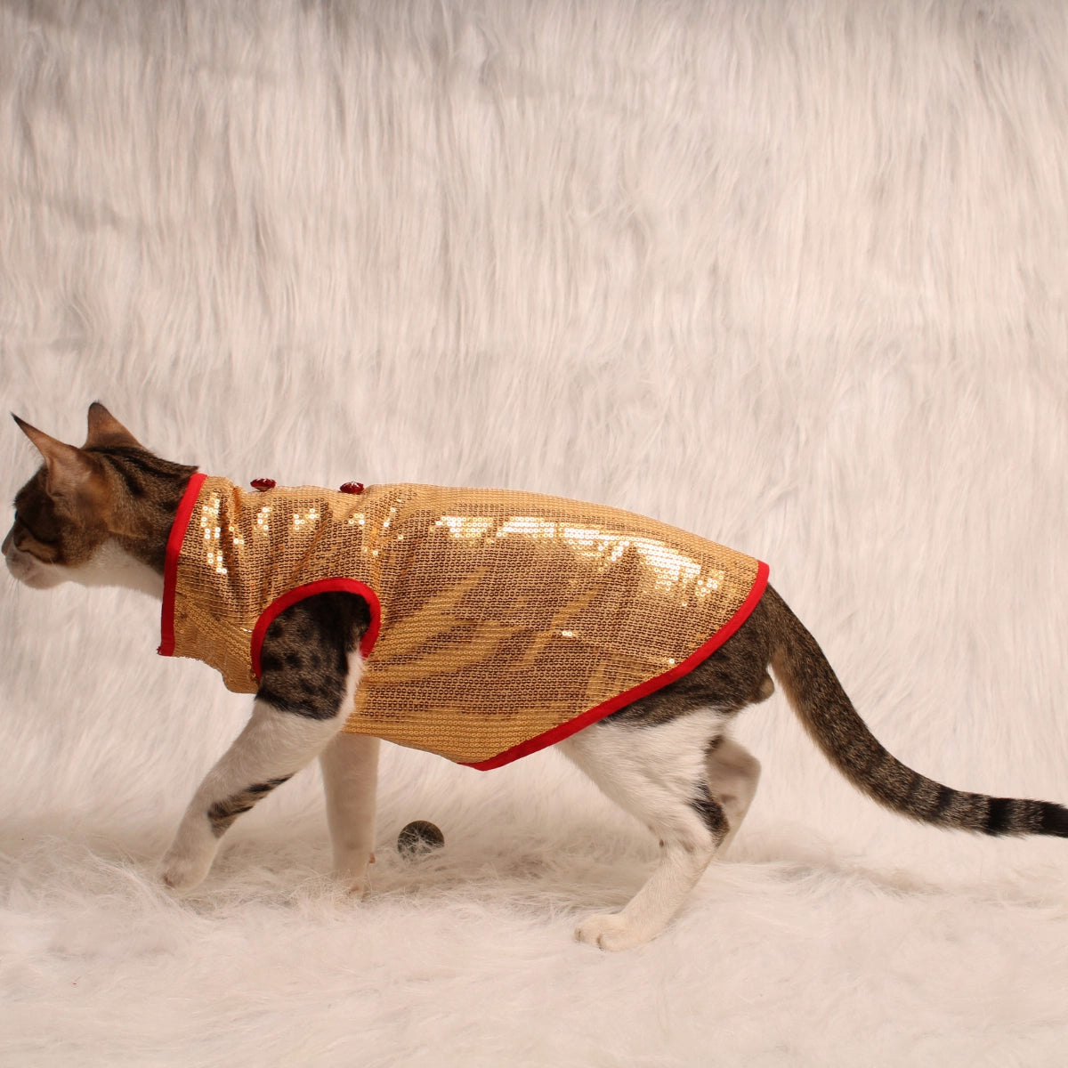 Glitter & Shine(Cat)