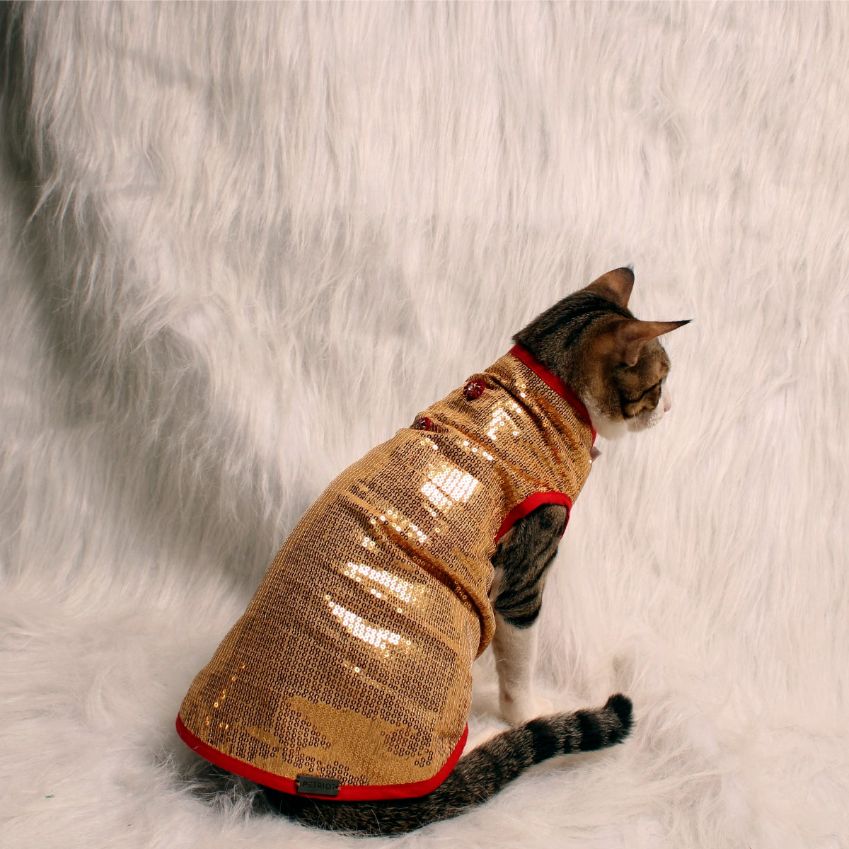 Glitter & Shine(Cat)