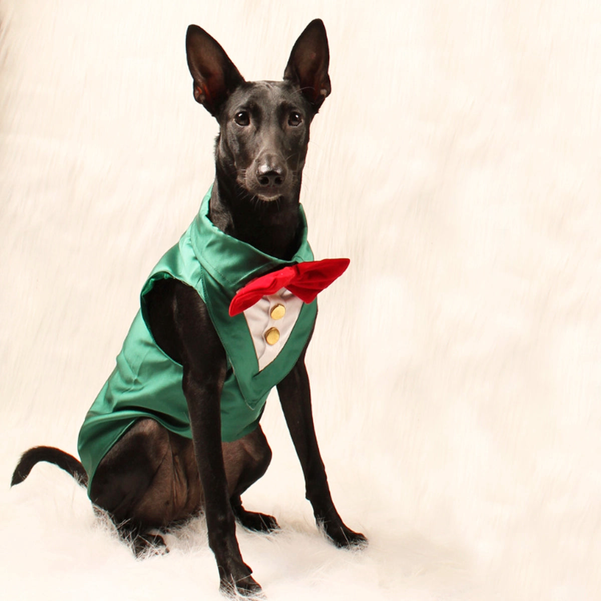 Emerald Green Tuxedo(Dog)