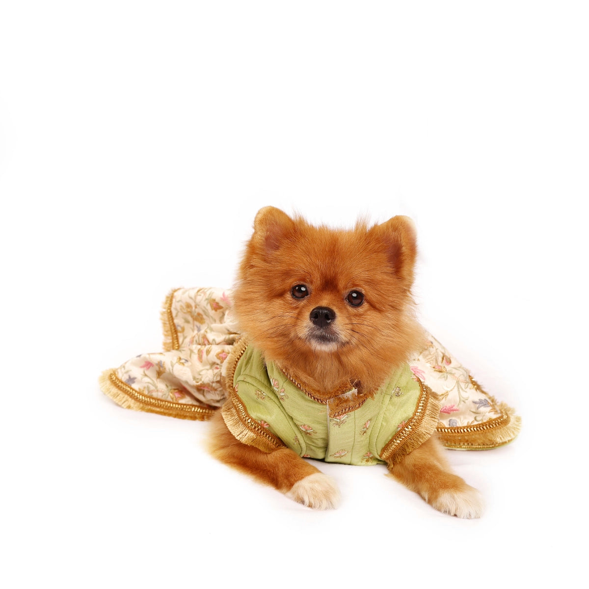 Mint Embroidery(Dog)