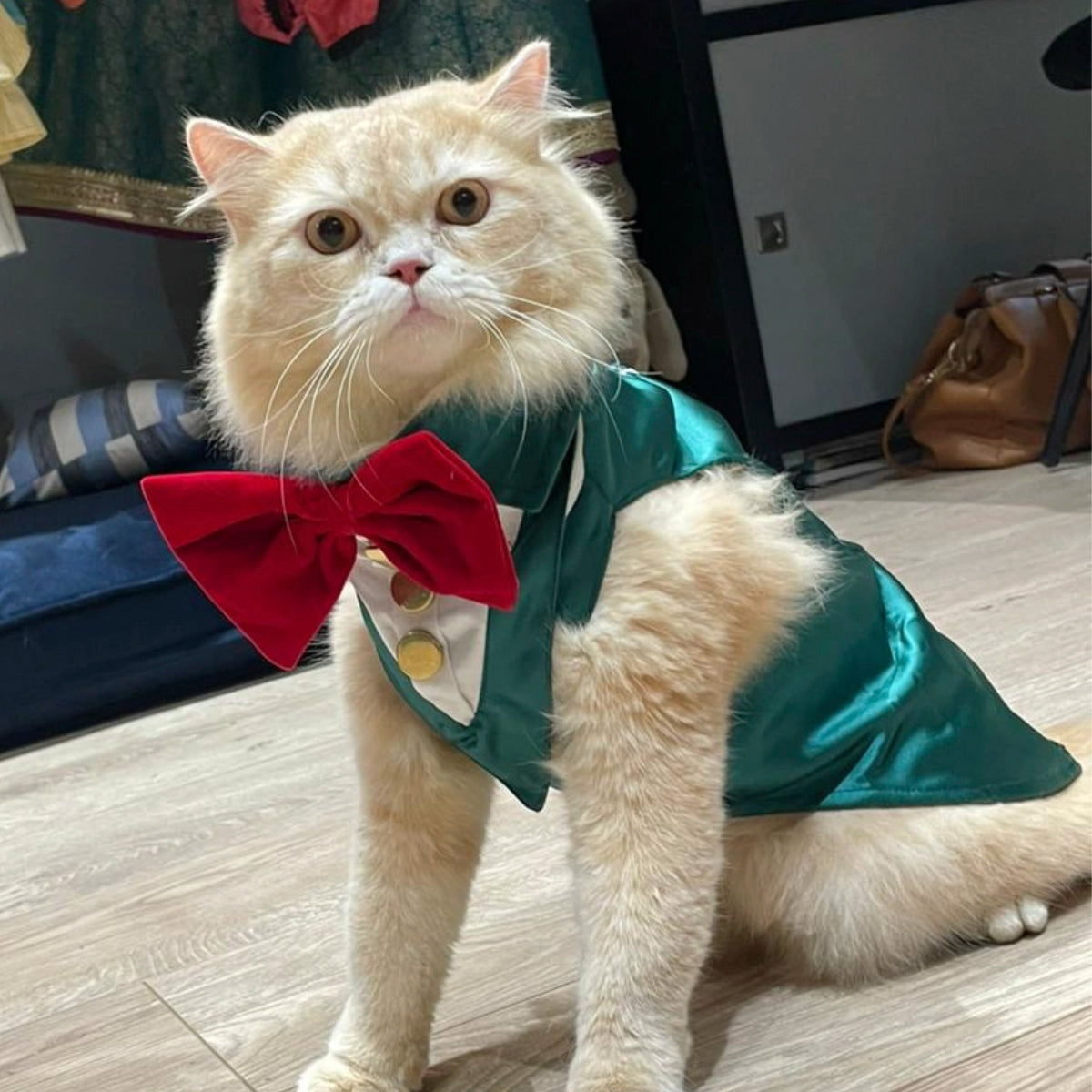 Emerald Green Tuxedo(Cat)