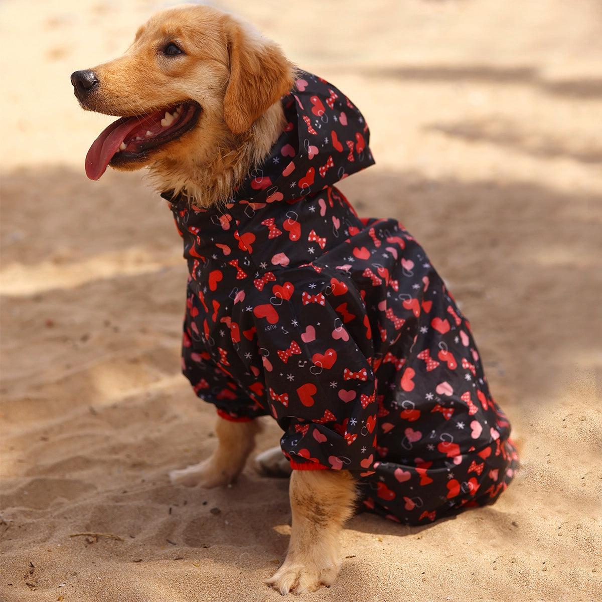 Heart & Bow Rainromper(Dog)