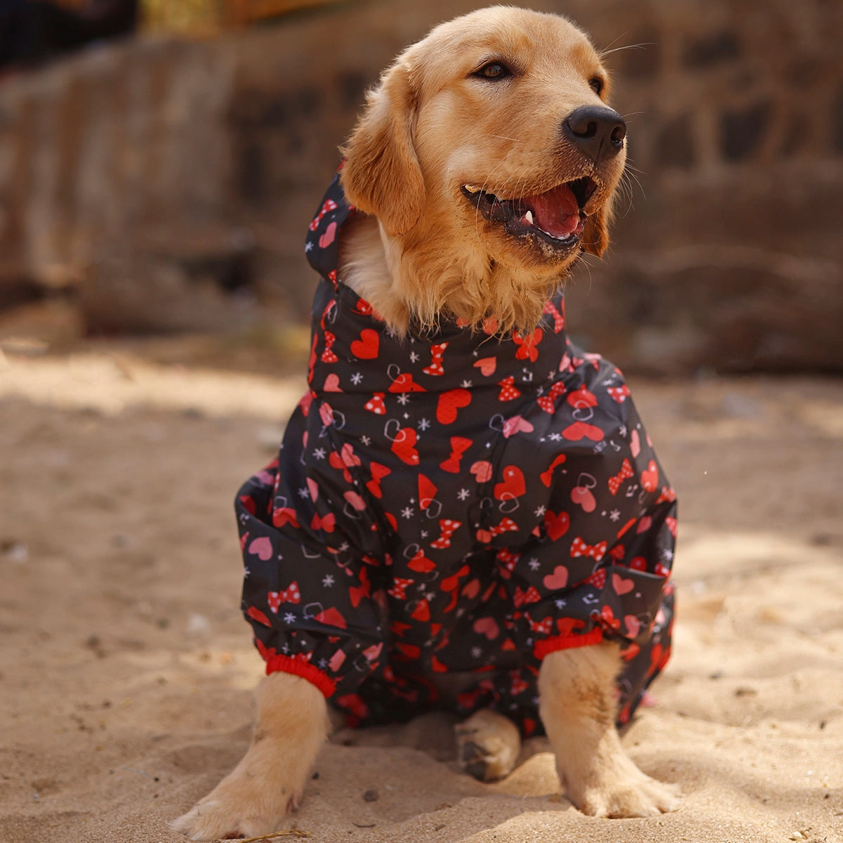 Heart & Bow Rainromper(Dog)