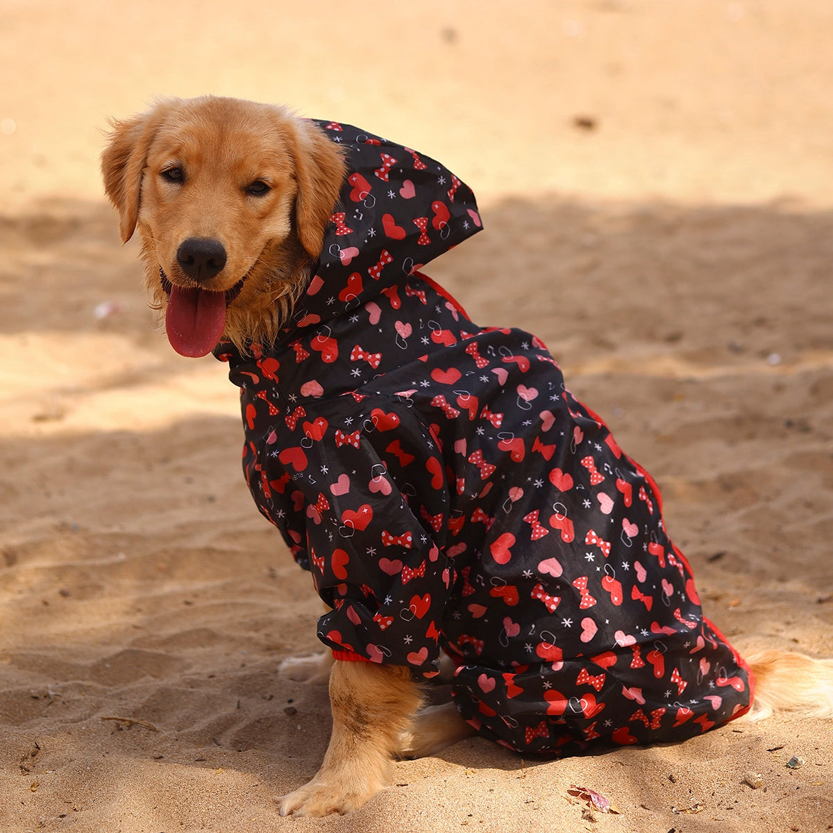 Heart & Bow Rainromper(Dog)