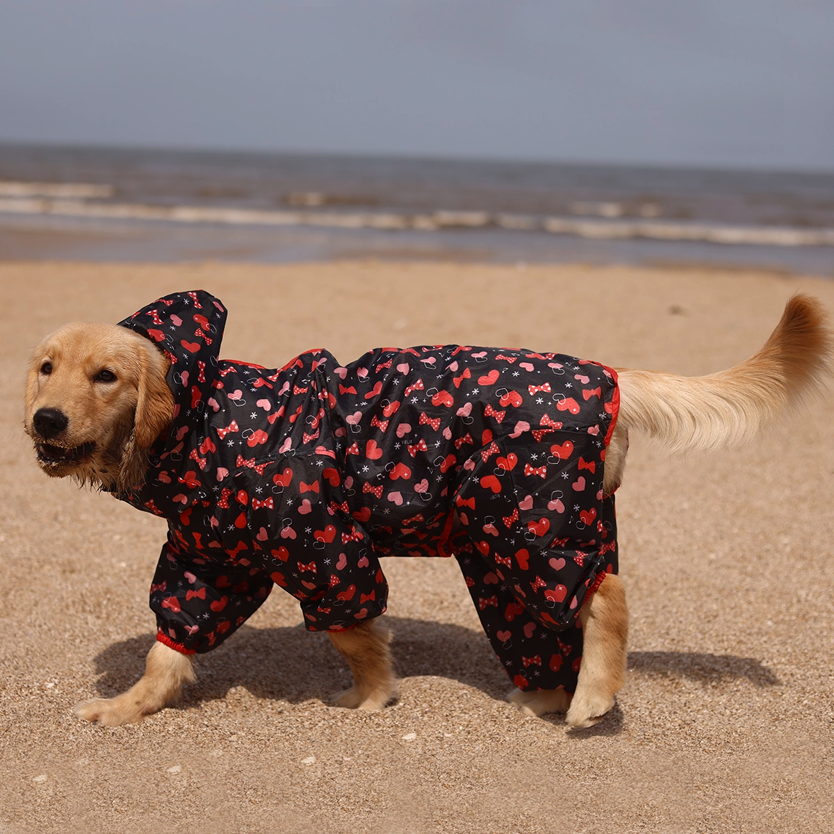 Heart & Bow Rainromper(Dog)