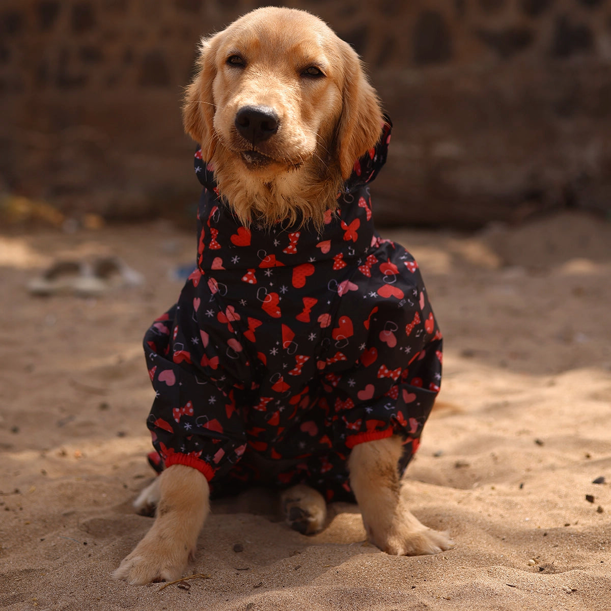 Heart & Bow Rainromper(Dog)