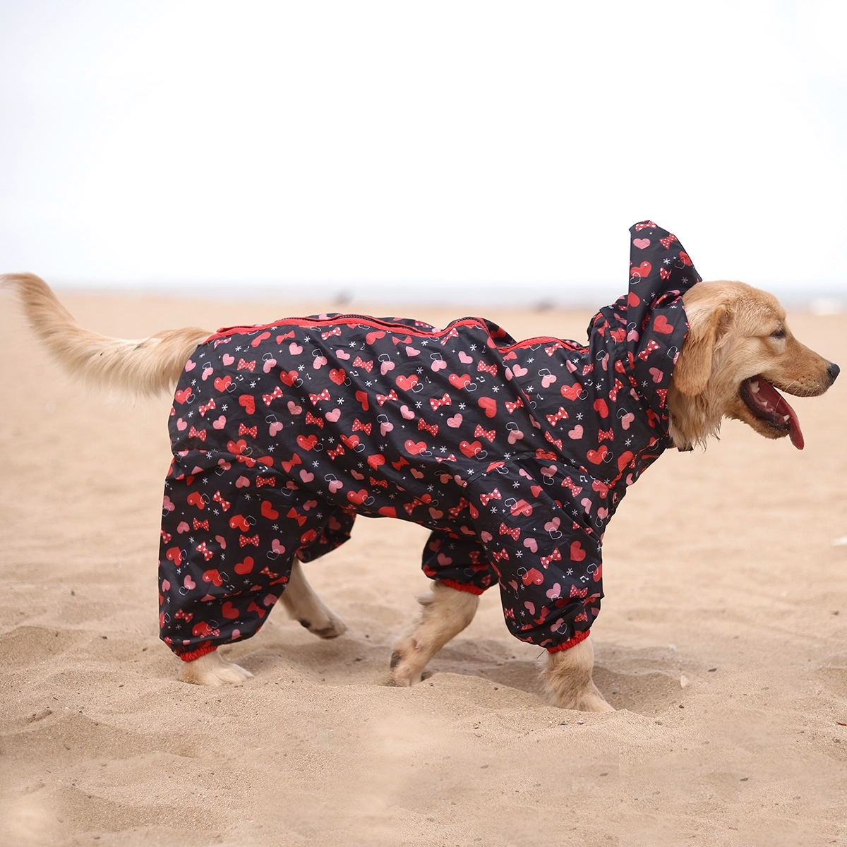 Heart & Bow Rainromper(Dog)