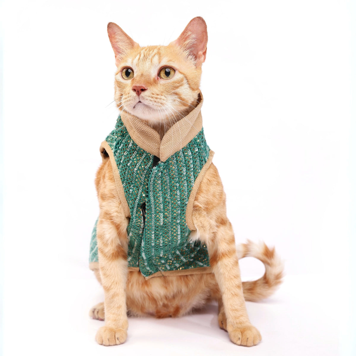 Metallica Green(Cat)