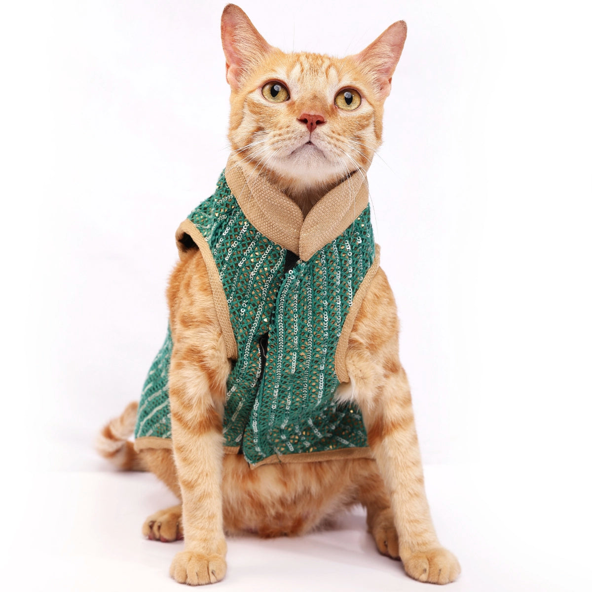 Metallica Green(Cat)