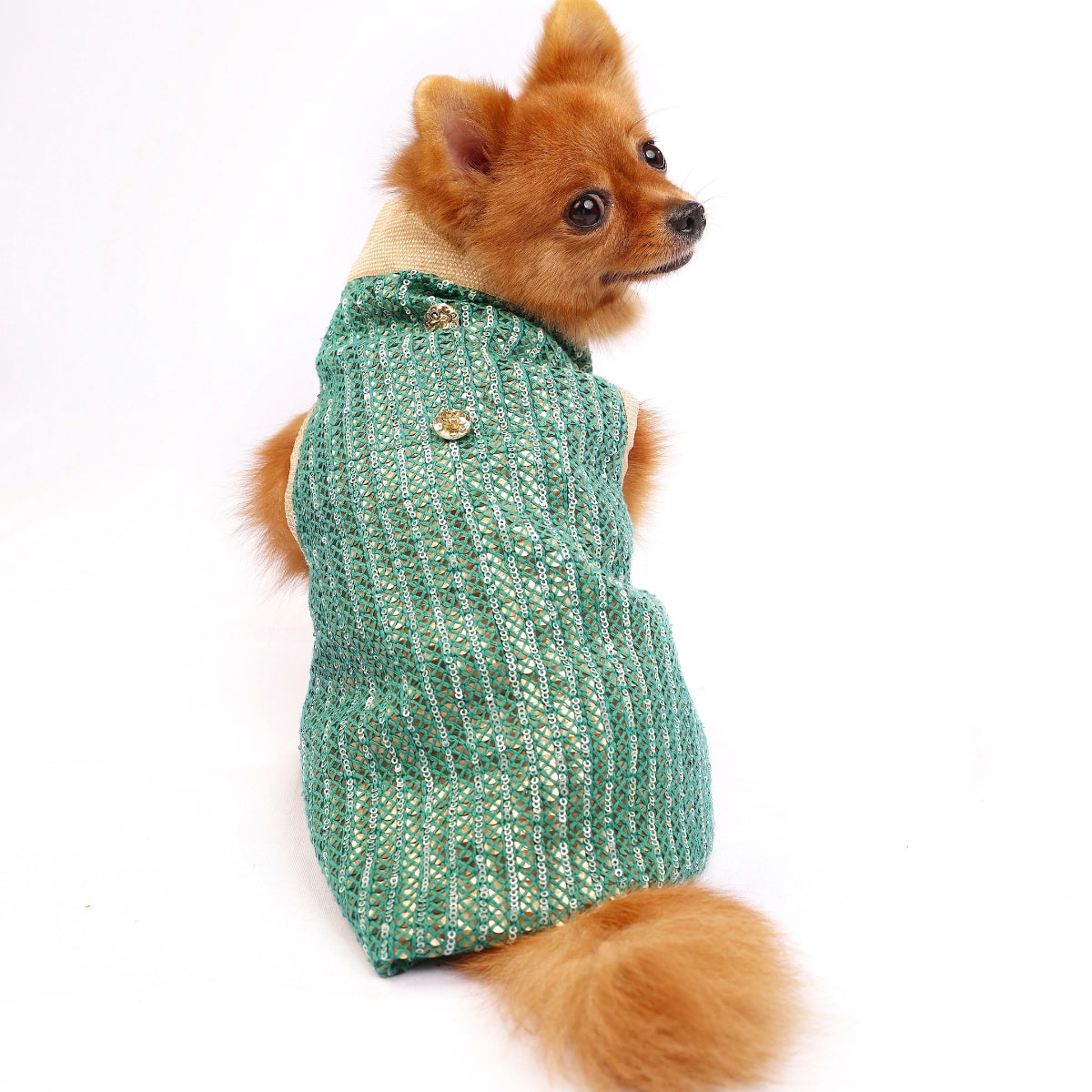 Metallica Green (Dog)