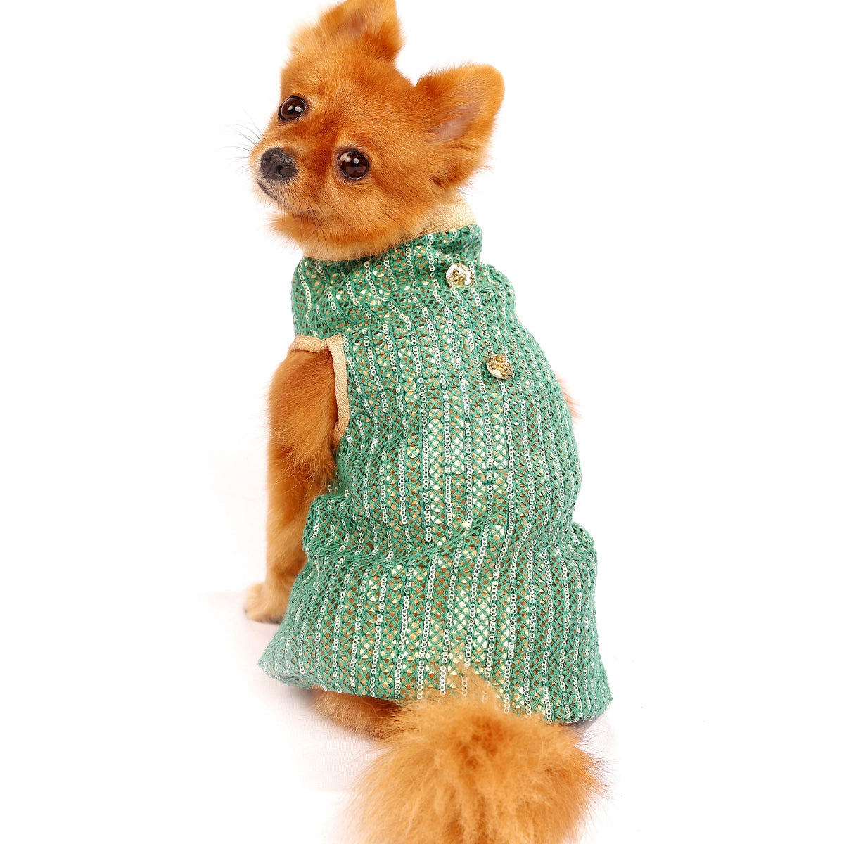 Metallica Green (Dog)