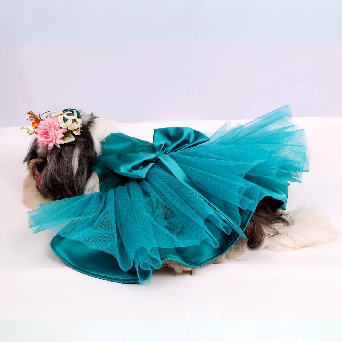 Met Gala Teal(Dog)