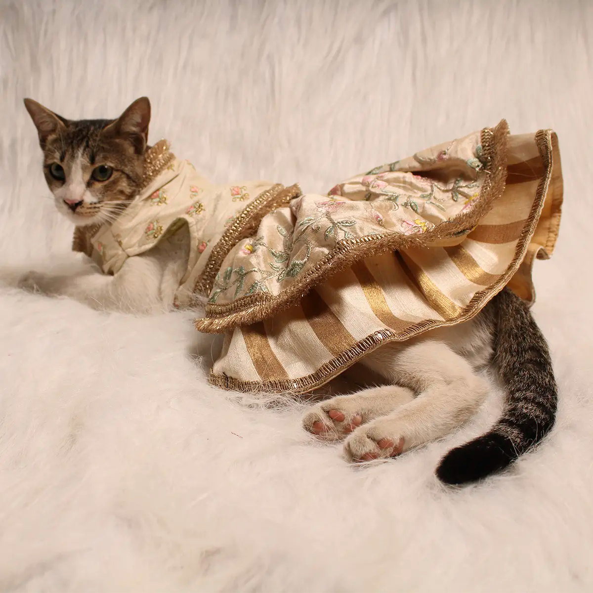 Mint Embroidery(Cat)