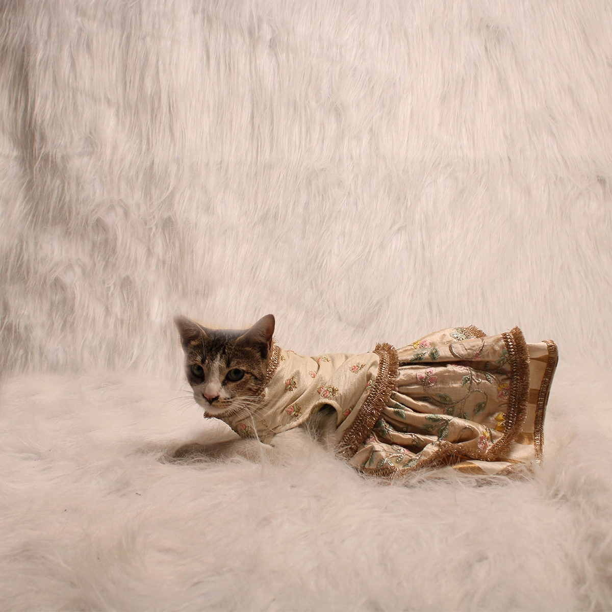 Mint Embroidery(Cat)