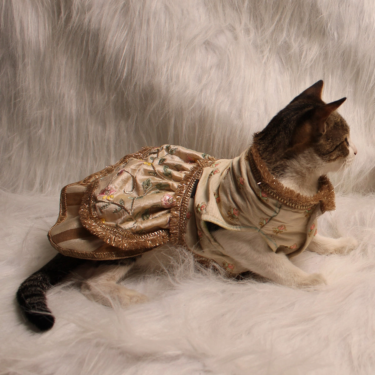 Mint Embroidery(Cat)