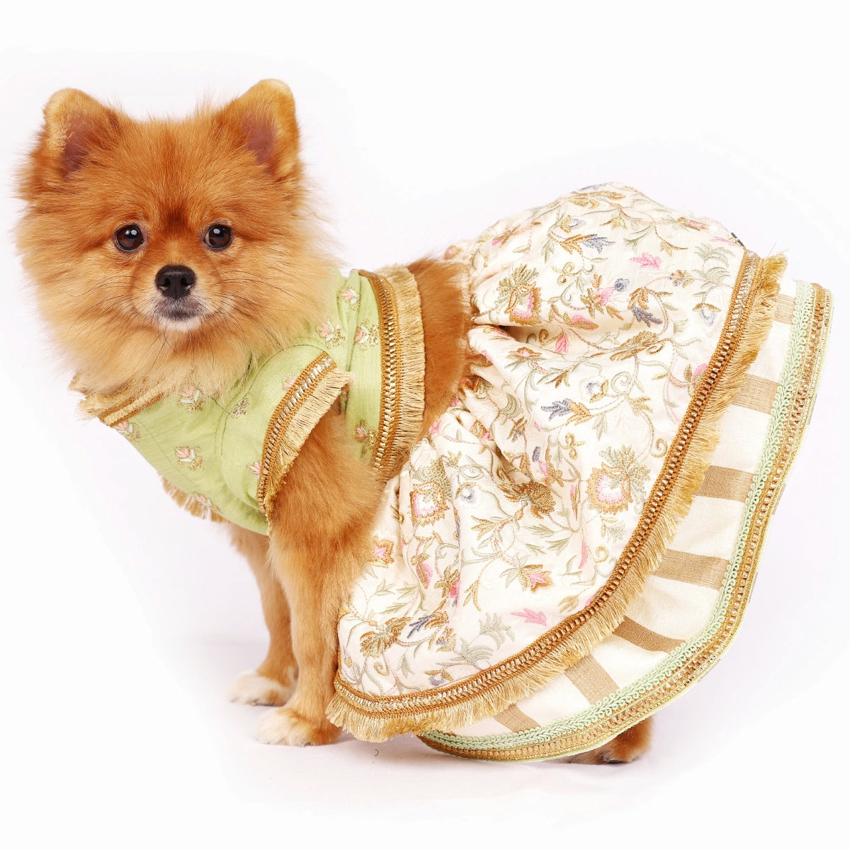 Mint Embroidery(Dog)