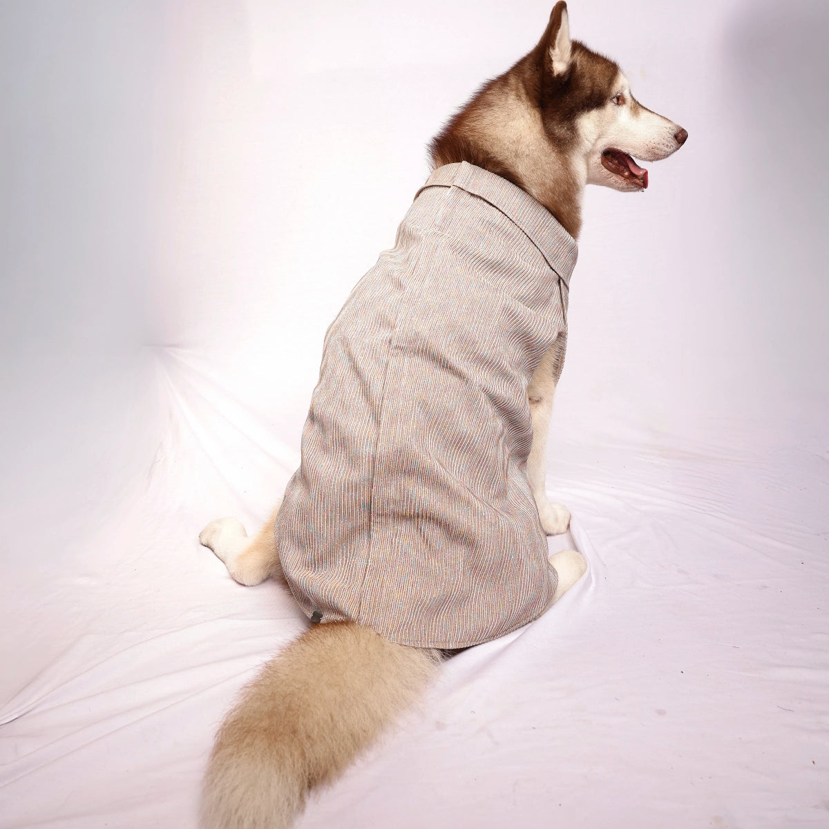 MultiGlitter Tuxedo(Dog)