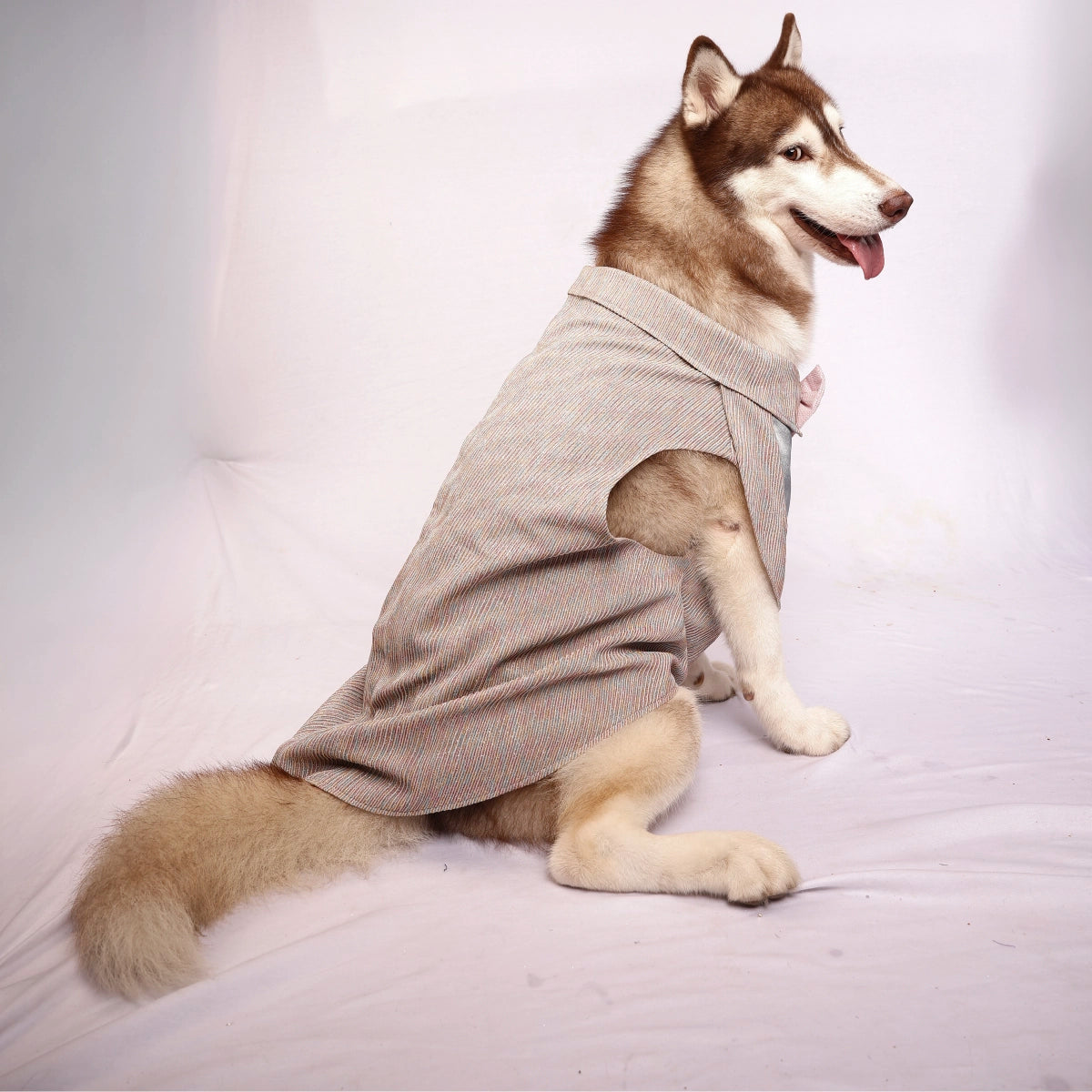 MultiGlitter Tuxedo(Dog)