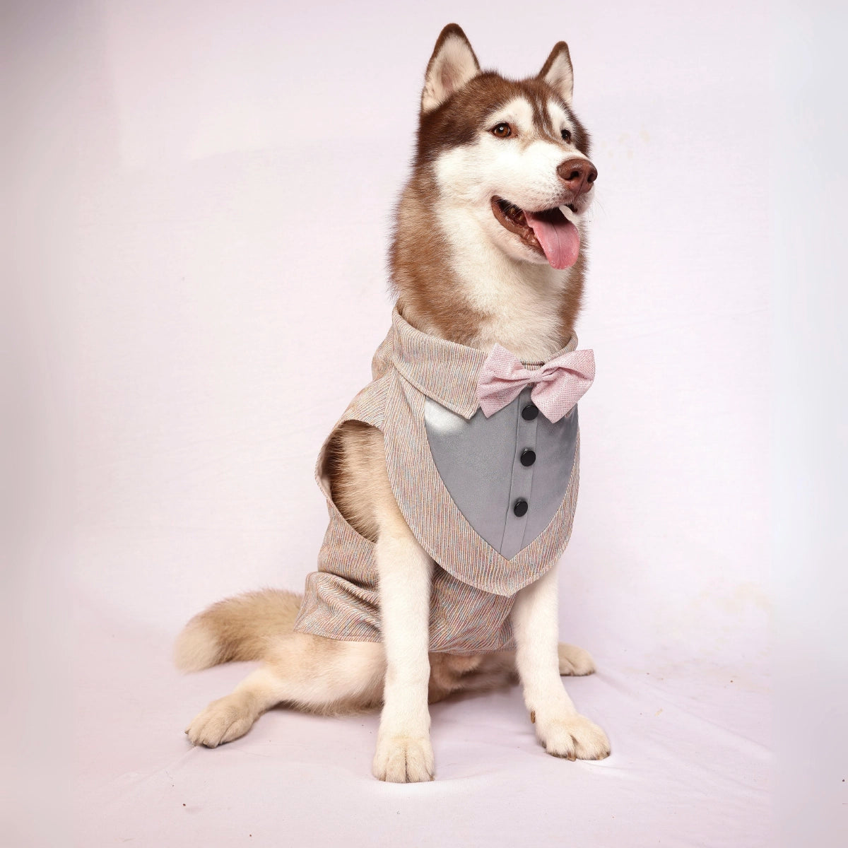 MultiGlitter Tuxedo(Dog)