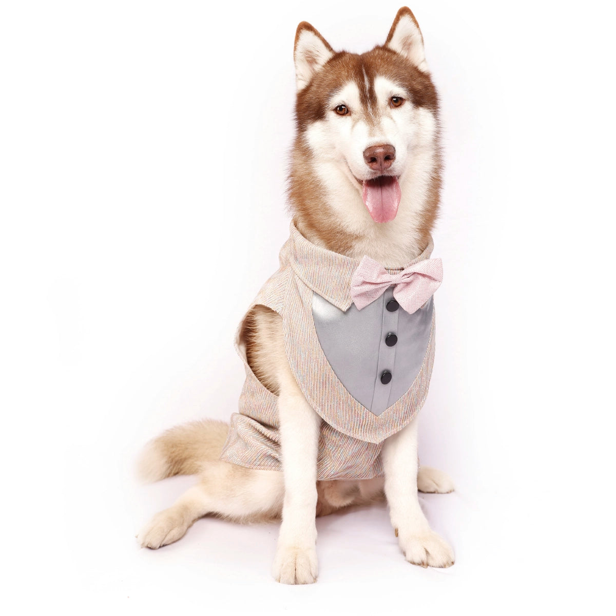 MultiGlitter Tuxedo(Dog)