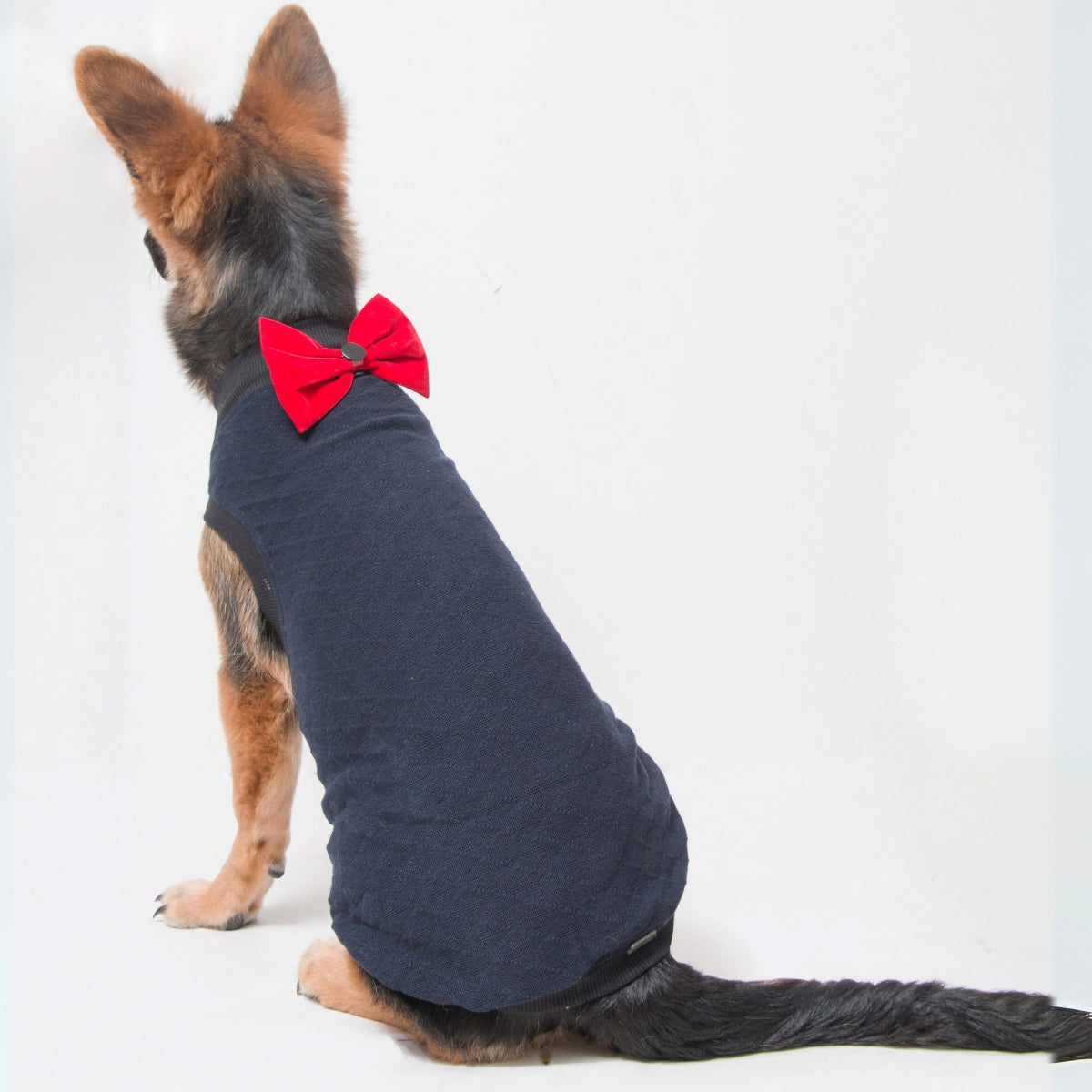 Navy Blue Cardigan(Dog)